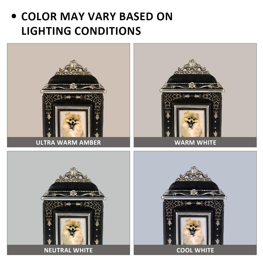 AELS Pet Urn Memory Box for Keepsakes with Photo Slot, Dog Memorial Urns for Ashes, Cat or Dog Cremation Urns, Black