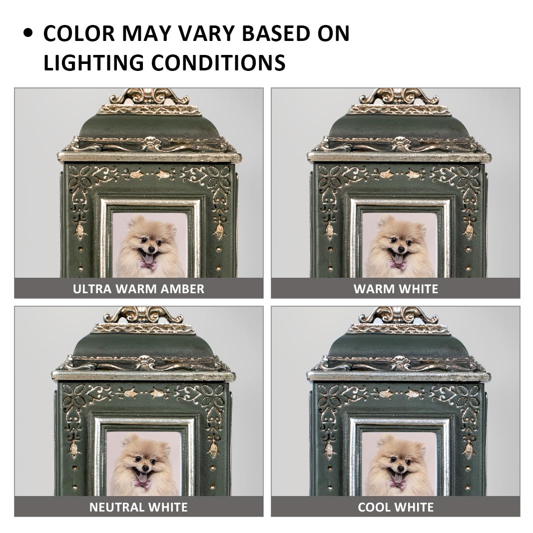 AELS Pet Urn Memory Box for Keepsakes with Photo Slot, Dog Memorial Urns for Ashes, Cat or Dog Cremation Urns, Black