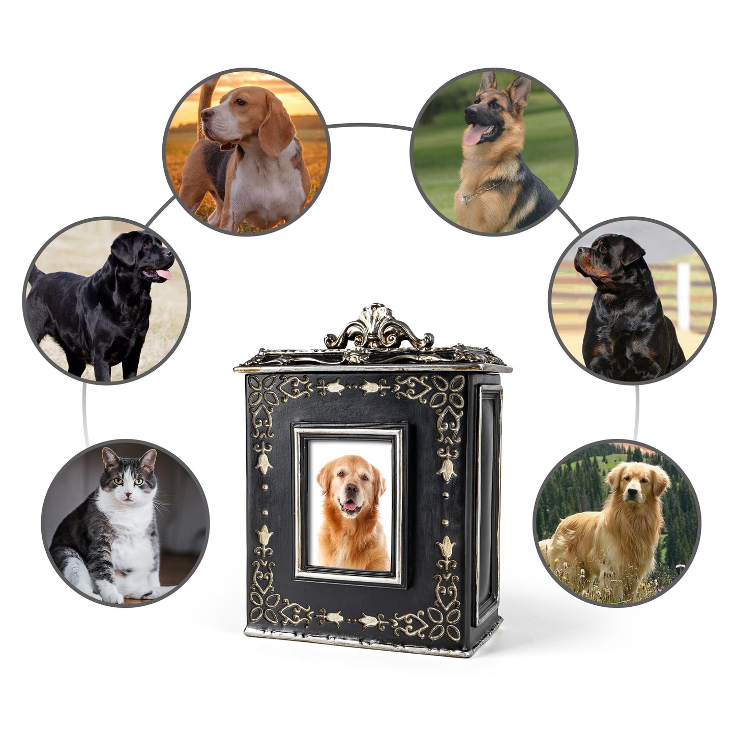 AELS Pet Urn Memory Box for Keepsakes with Photo Slot, Dog Memorial Urns for Ashes, Cat or Dog Cremation Urns, Black