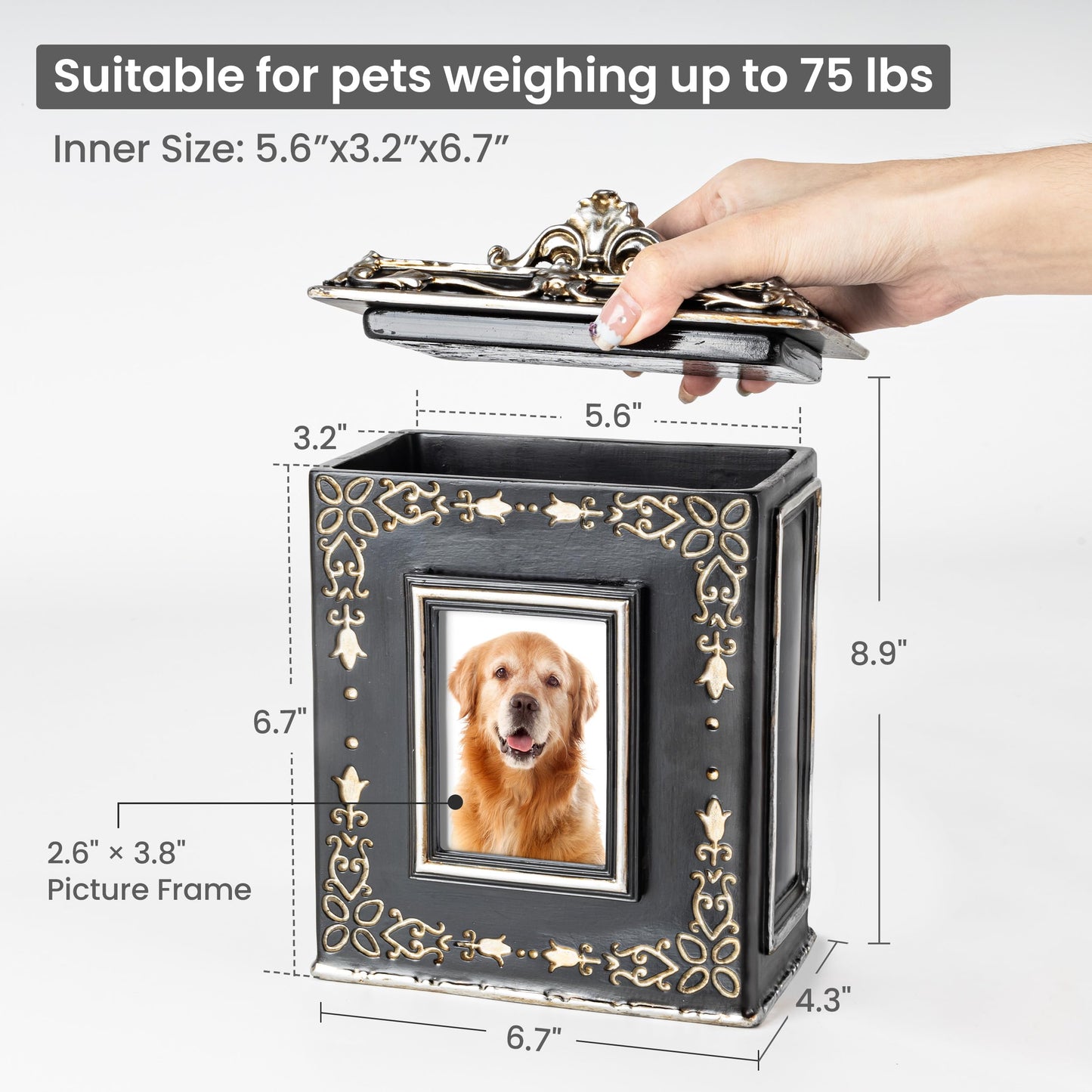AELS Pet Urn Memory Box for Keepsakes with Photo Slot, Dog Memorial Urns for Ashes, Cat or Dog Cremation Urns, Black